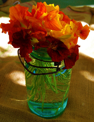 Mason Jar with Flowers