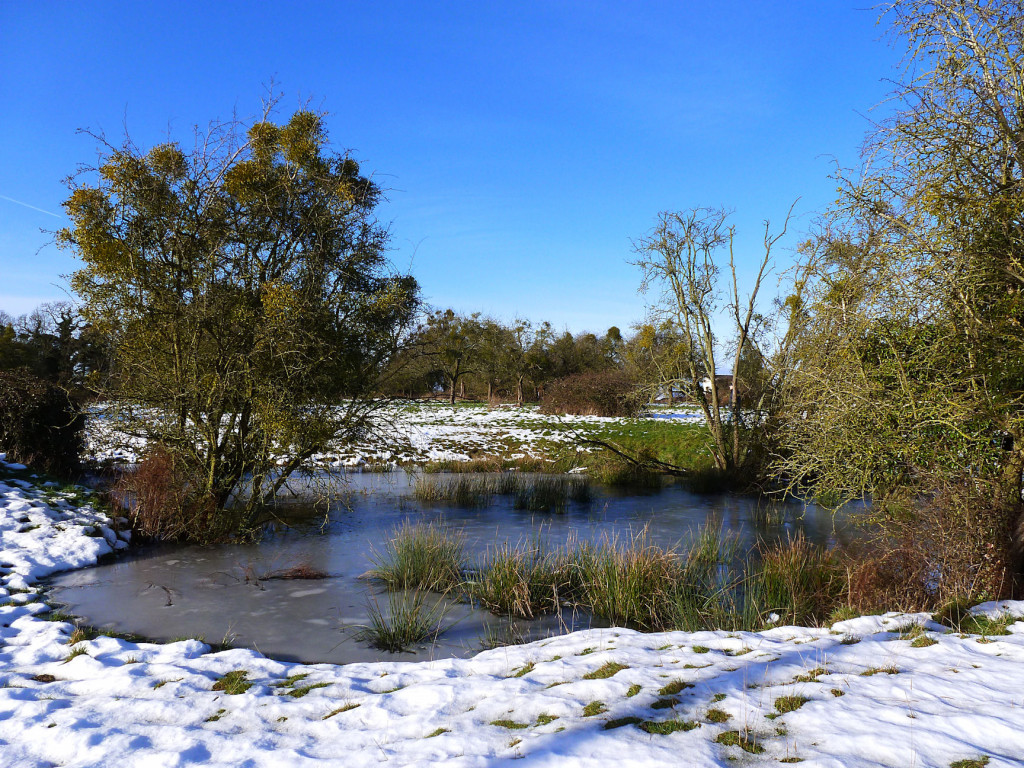 The Frozen Pond and The Thaw