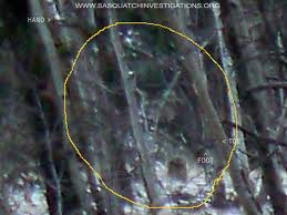 Look carefully to see Bigfoot in the middle of photo