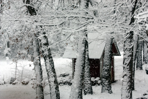 Quaint little shed surrounded in snow.