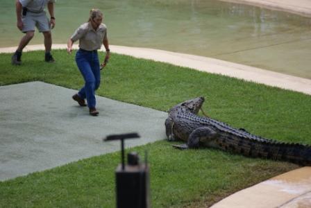 Terri Irwin showing her bravery with Graham, Australia Zoo's resident croc.  Photographed by Ralph Edgell