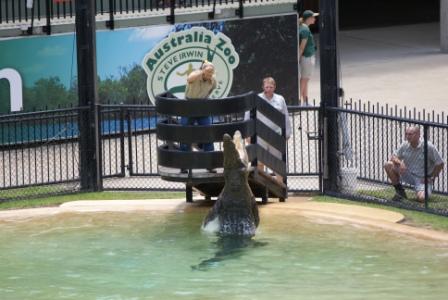Terri Irwin demonstrating how high crocs can leap, photographed by Ralph Edgell