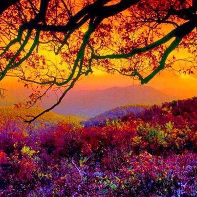 Heartfelt beauty and warmth.