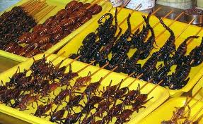 Bugs anyone?