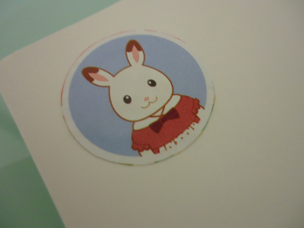 I glued the Sylvanian bunny picture to a cardboard that came with some tights I bought from a retail store. You can use anything you have on hand.