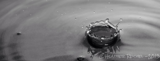 If you are not happy with the color don't despair- just change the shot to a Black and White image 