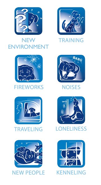 Help your dog through the stress of all these difficult situations with Adaptil