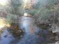 Touring Southern Arizona - Historic Cochise County Attractions