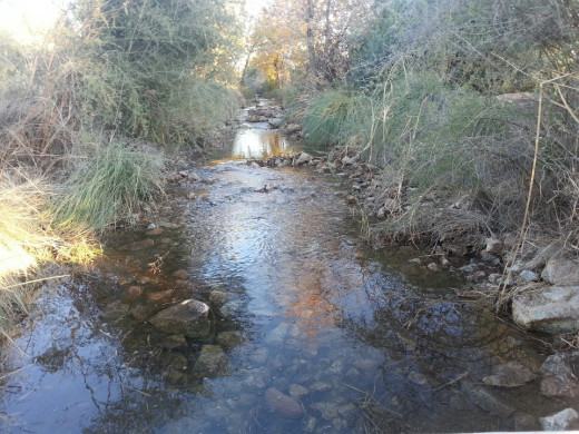 Beautiful Arizona!