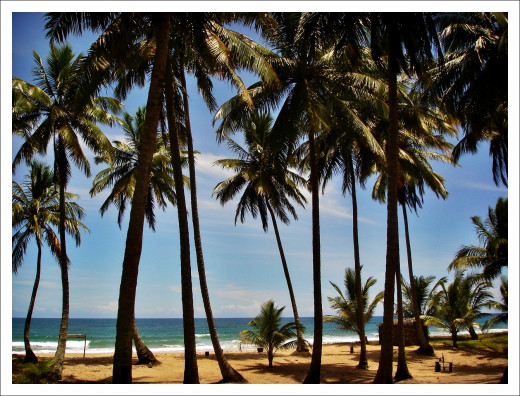 Longing for a tropical breeze instead of the stale air of your cubicle? There are ways to take a cheap vacation! 
