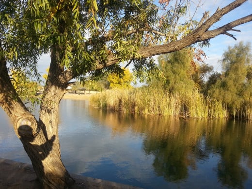 A walk by the water!