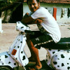 sportspot profile image