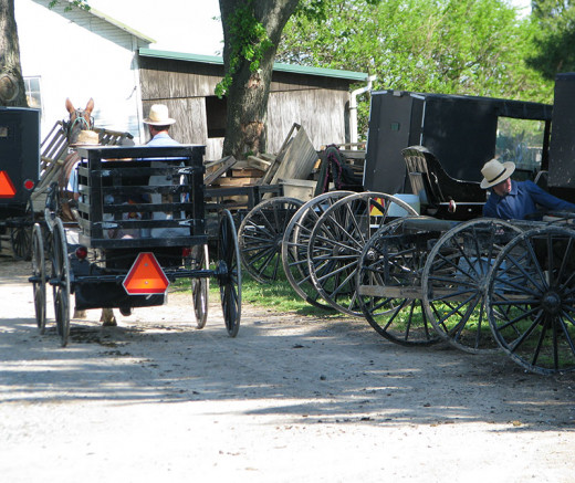 Amish Market Days