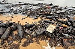 contaminated beaches
