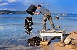 illegal waste disposal