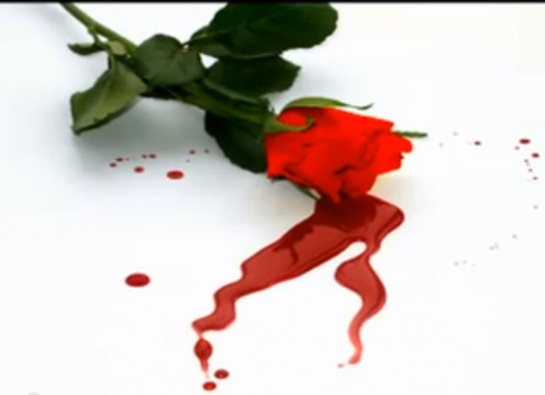 Life is a rose, beware of the thorns. - Unknown