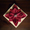 The Napkin Lady profile image