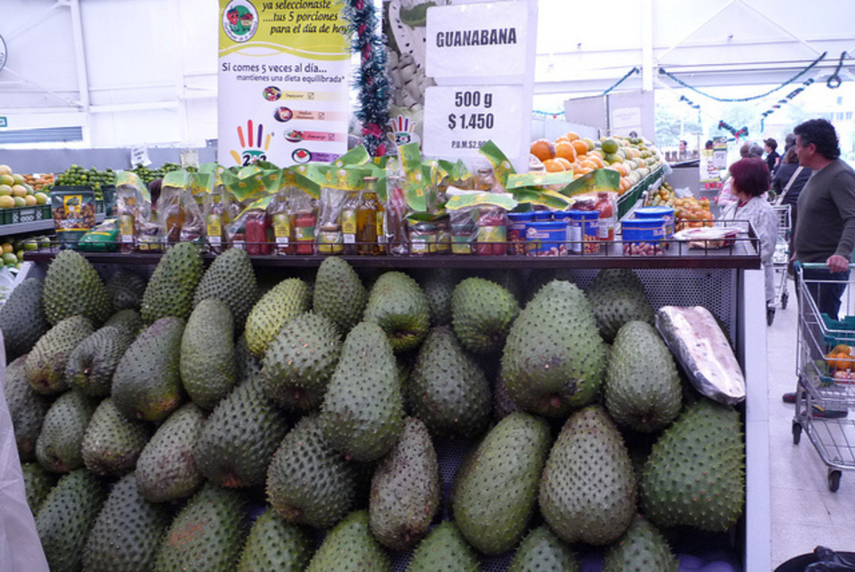 What is the relationship of guanabana and cancer?