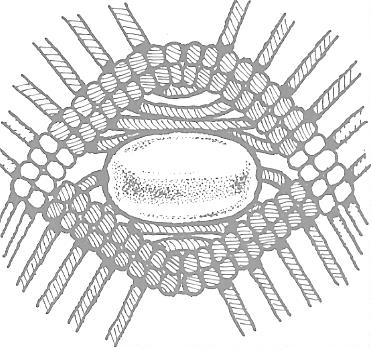 Figure 2 - One Motif Completed