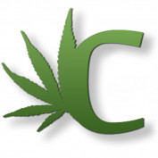 weedprices profile image