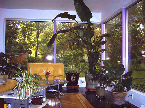 Living room corner window!
