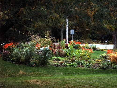 garden
