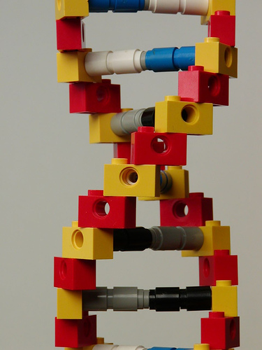 Example of a DNA strand built from Legos