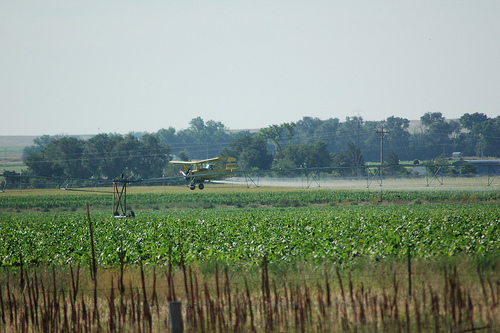 Crop dusters cannot control the drift of their chemicals that are spread by air currents and wind beyond their targeted area.  