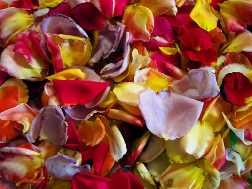 These would probably make some colorful rose petal ice cream! You just have to be sure that all flowers used are edible and safe to use for cooking. 