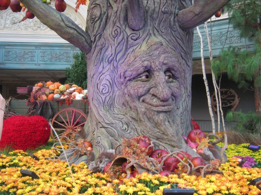 A talking tree that sometimes appears in the fall at Bellagio Conservatory. People are fascinated by this, it is so interesting to watch "him" talk! 