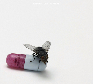 I'm With You (2011).  Album cover for the Red Hot Chili Peppers.