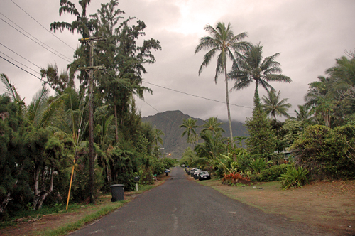 A typical residential street in Waimanalo