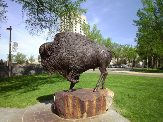 Buffalo Sculpture at the North Dakota Heritage Center with the State Capitol in the Background