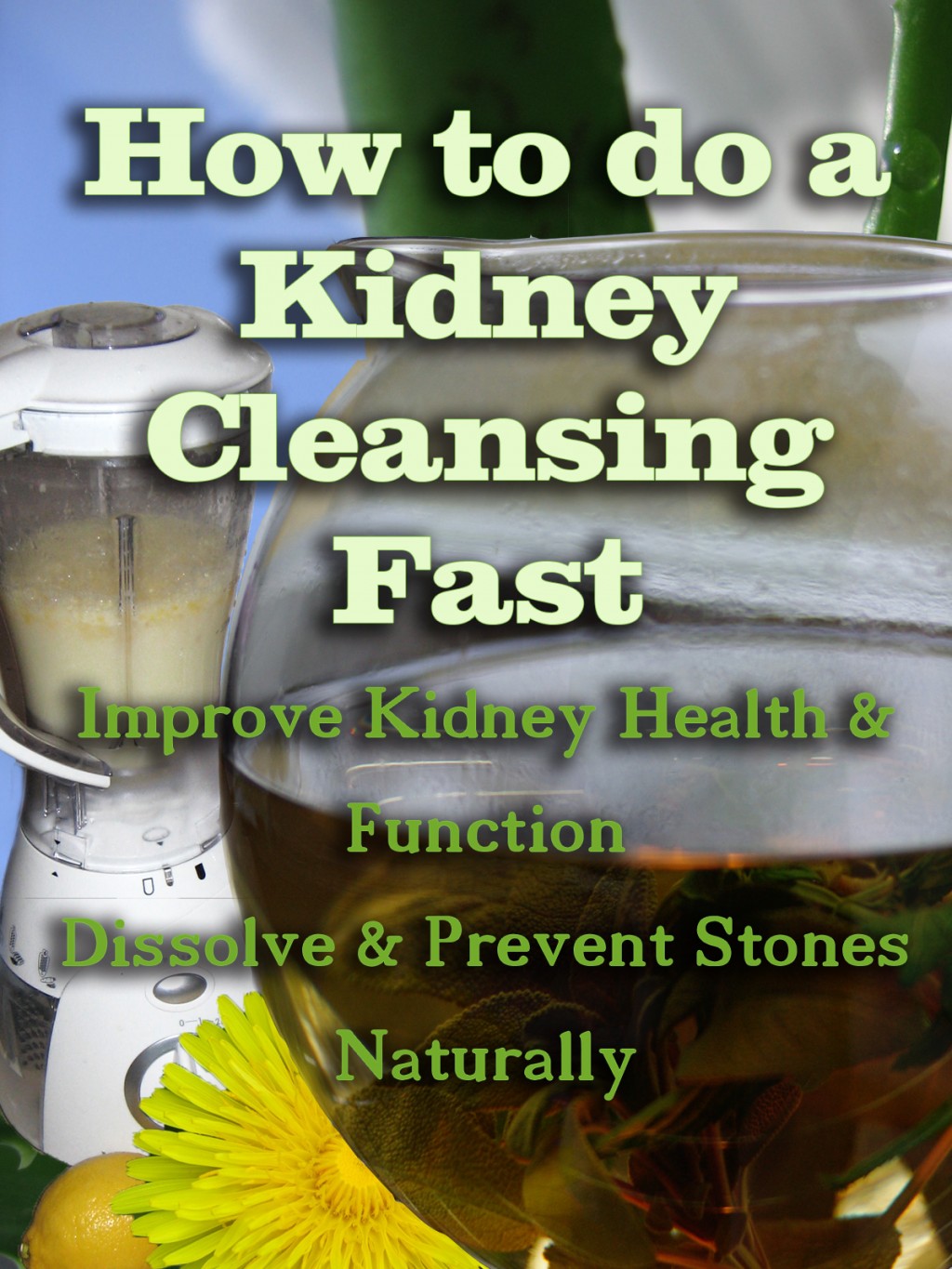 How to do a Kidney Cleansing Fast hubpages