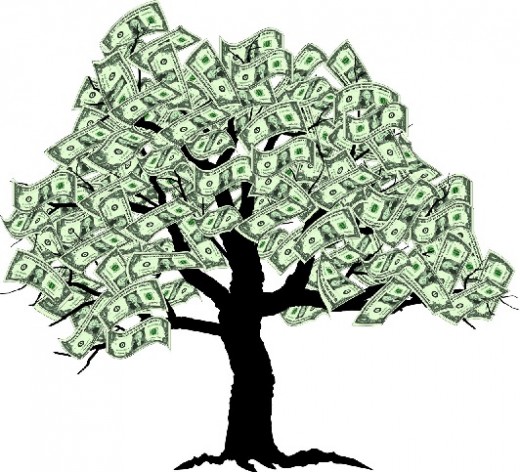 The Money Tree, a Symbol of Abundance
