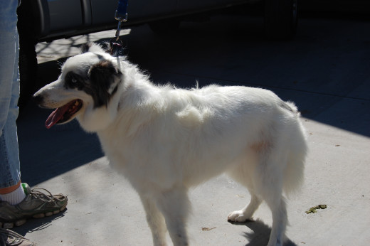 Picture taken after bath, July 2012