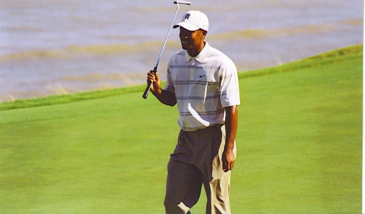 Tiger Woods on the links - in 2004