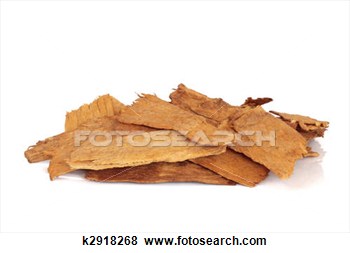 astragalus 