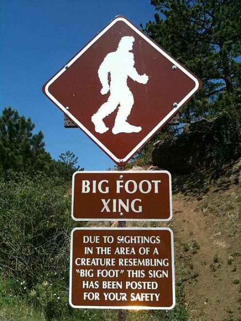Top 5 Bigfoot Theories: What is Bigfoot Really? Top 5 Bigfoot Theories: What is Bigfoot Really?