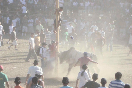 The air full of dust in the arena where boys are taunting a bull .  It is that time of the year again for the Fiestas Civicas in Liberia.  I am ready to take more photos!