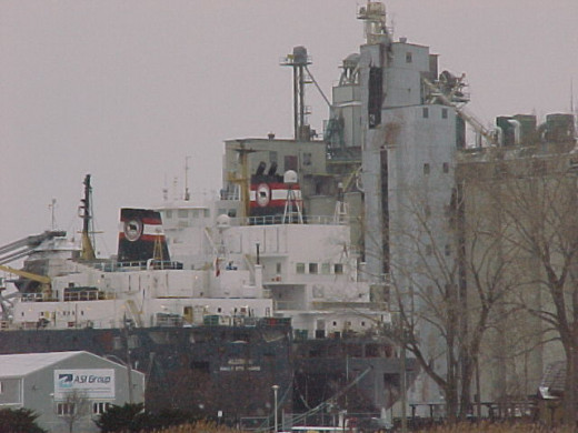 A outdoor telephoto picture taken on a overcast day.