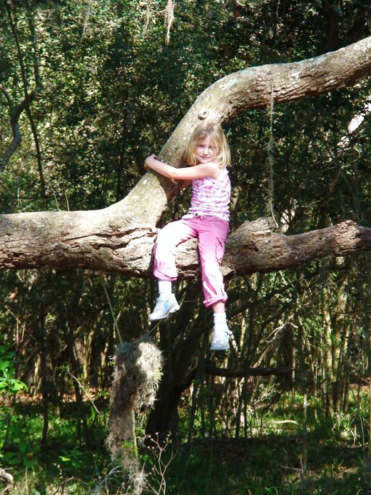 Playing in the park, and noticing,for the first time that there's a tree perfect for climbing.