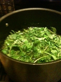 Kale is healthful and delicious