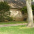 Next door to my mother's old house. You can see the water line on the brick. Next door to my mother's old house. You can see the water line on the brick.