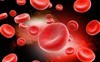 component of blood responsible for clotting