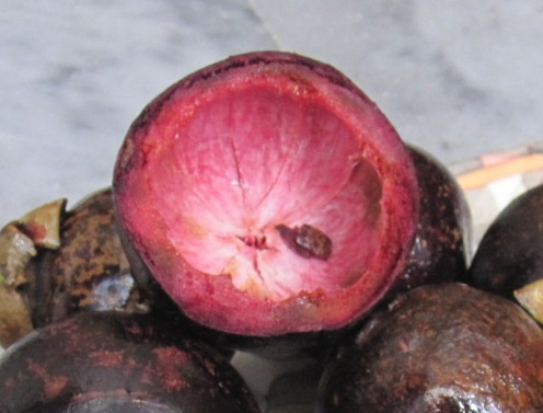 The Pericarp, or the rind of the Mangosteen.