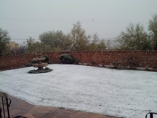 A Tucson Blizzard