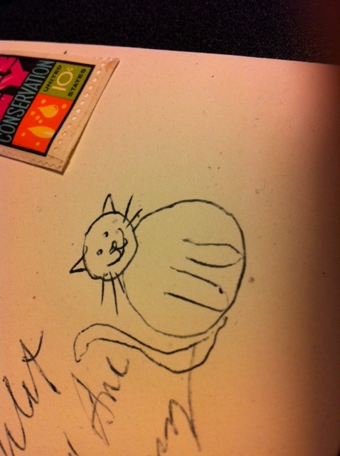 Yeah, yeah - it's a cat, NOT a Polar Bear.