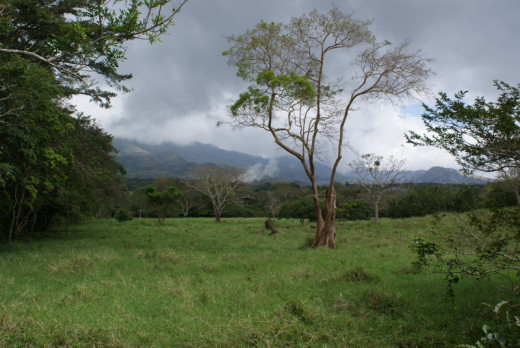 Looking across a field in the direction of the volcano, one can see the steam escaping from the power generation plant near Fortuna.  Cloudy skies are more common during the rainy season.