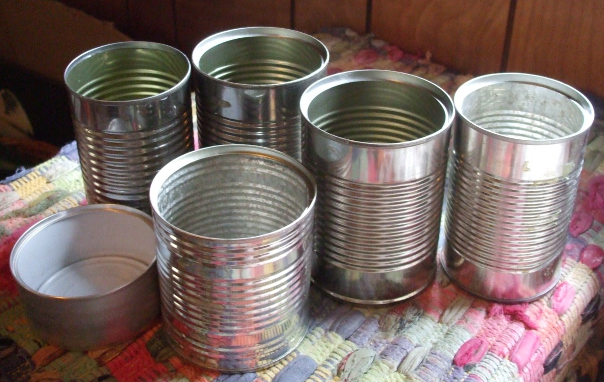 Clean, empty food cans with the top removed.  (Bottom remains.)